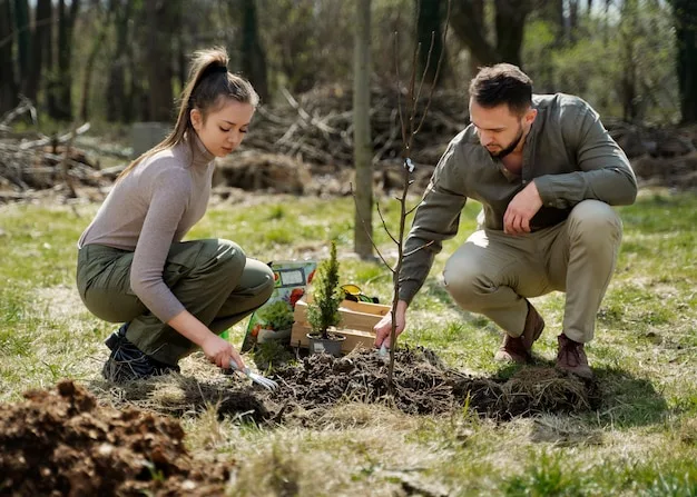 A man and a woman kneeling in a clearing to plant a sapling in dug soil