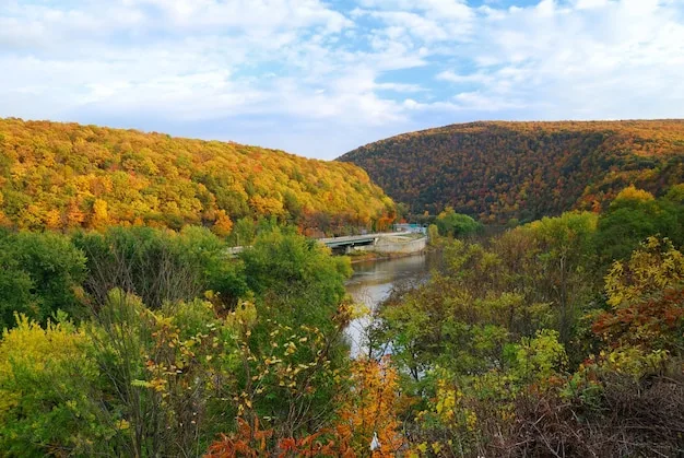 Autumn-coloured woods on hills above a river bend