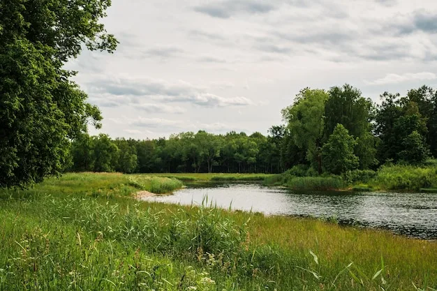 A grassy riverbank with trees along the far shore under a cloudy sky
